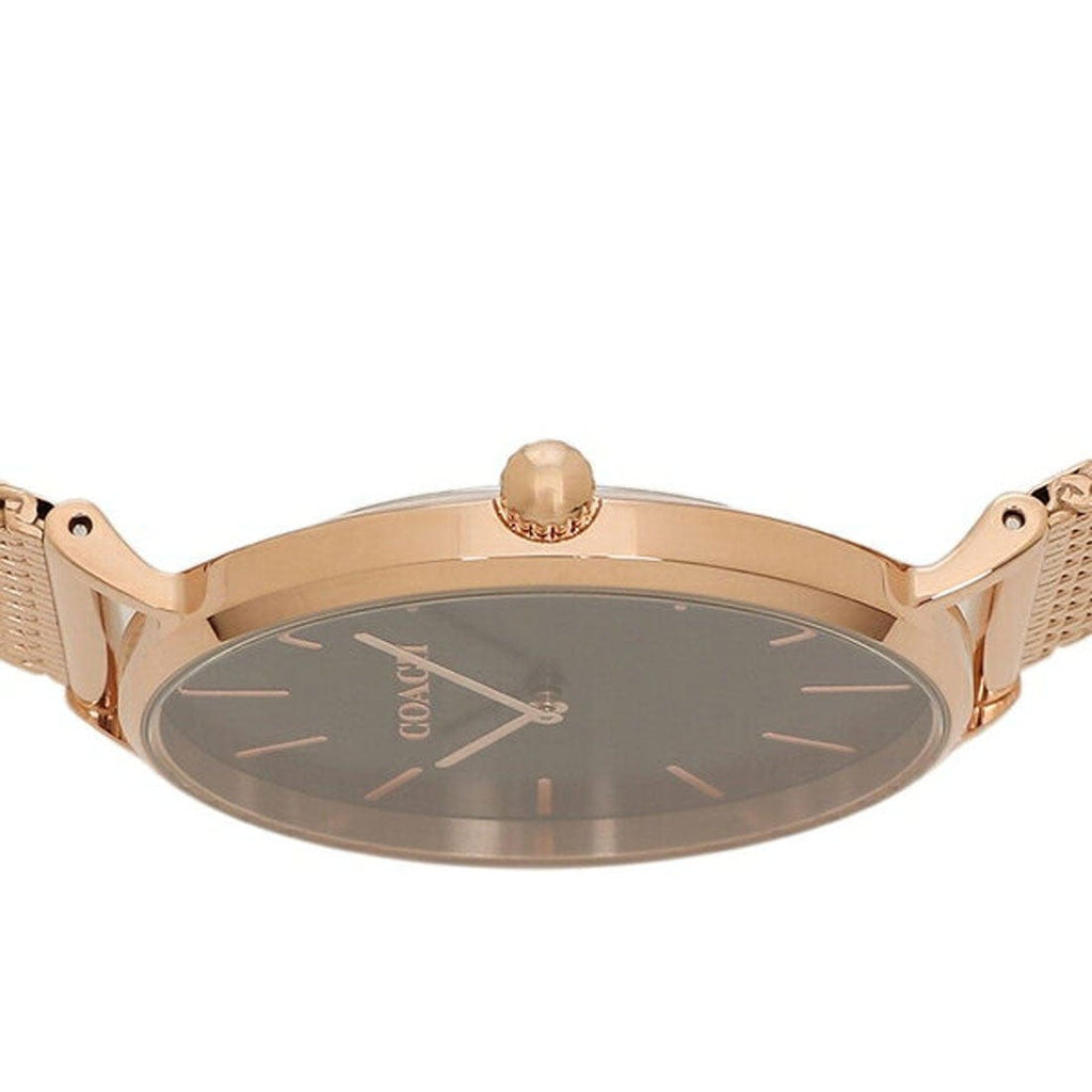 Coach Charles Black Dial Rose Gold Mesh Bracelet Watch for Men - 14602552