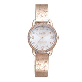 Coach Delancey Silver Dial Rose Gold Steel Strap Watch for Women - 14502355