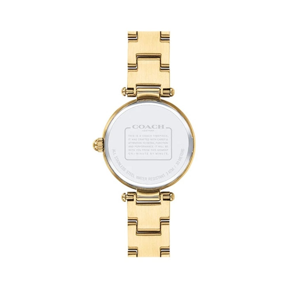 Coach Park Blue Dial Gold Steel Strap Watch for Women - 14503225