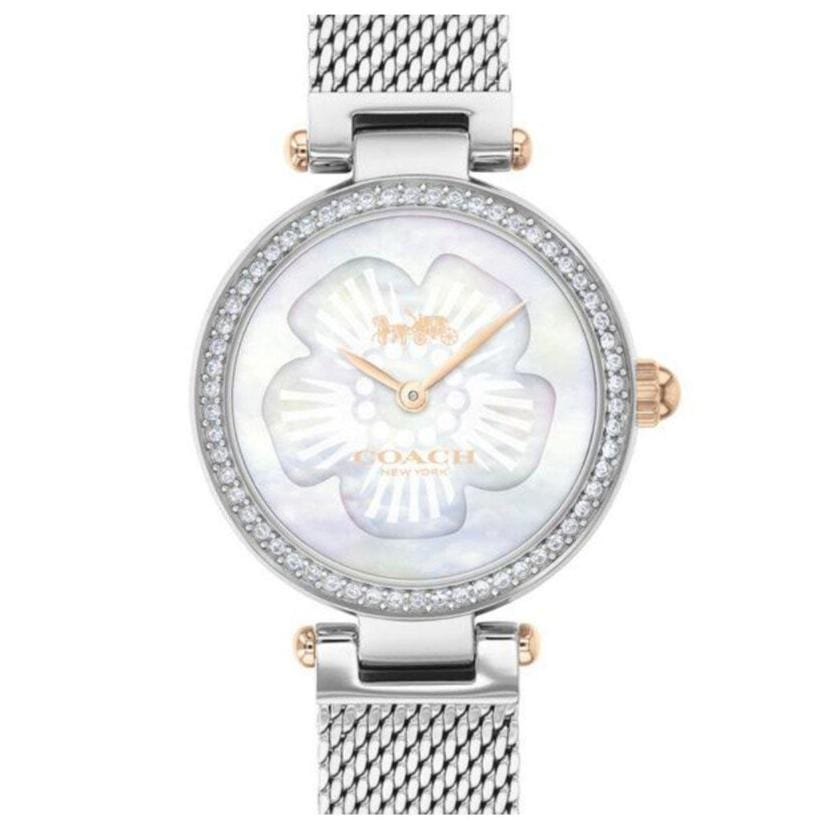Coach Park Mother of Pearl Dial Silver Mesh Bracelet Watch for Women - 14503510