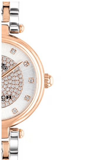 Coach Park Silver Dial Two Tone Steel Strap Watch for Women - 14503642