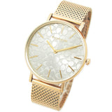Coach Perry Silver Dial Gold Mesh Bracelet Watch for Women - 14503385