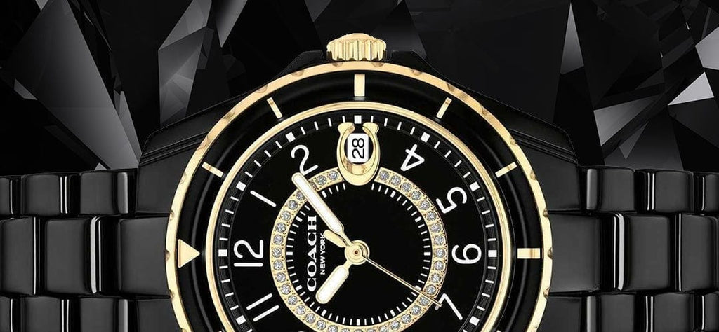 Coach Preston Black Dial Black Steel Strap Watch for Women - 14503461