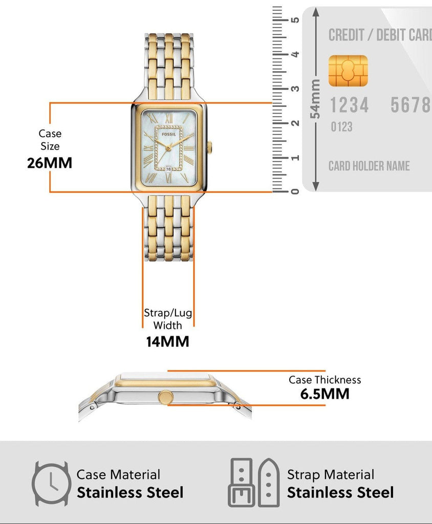 26mm case, stainless steel, gold accents.