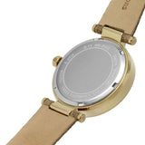 Michael Kors Parker Three Hand Gold Dial Brown Leather Strap Watch For Women - MK2973