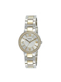 Fossil Virginia Silver Dial Two Tone Steel Strap Watch for Women - ES3503