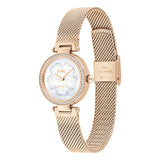 Coach Park Mother of Pearl Dial Rose Gold Mesh Bracelet Watch for Women - 14503511