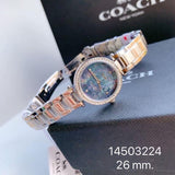 Coach Park Mother of Pearl Blue Dial Silver Steel Strap Watch for Women - 14503224