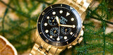 Fossil FS5836 Black Dial Gold Stainless Steel Ladies Watch