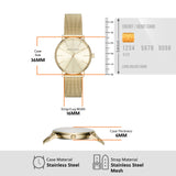 36mm case, stainless steel, with credit card comparison.