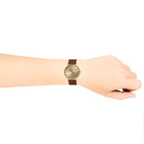 Coach Perry Analog Gold Dial Brown Leather Strap Watch for Women - 14503331-C