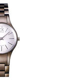 Calvin Klein Simplicity Silver Dial Grey Steel Strap Watch for Women - K4323620