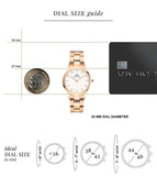 Daniel Wellington watch dial size guide