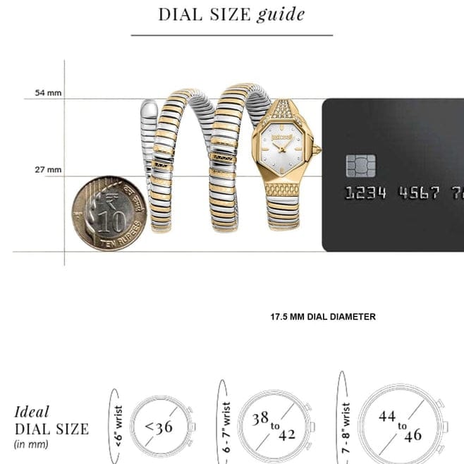 Just Cavalli Ambra Silver Dial Two Tone Steel Strap Watch for Women - JC1L370M0055