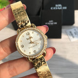 Coach Delancey Diamonds Silver Dial Gold Steel Strap Watch for Women - 14502354