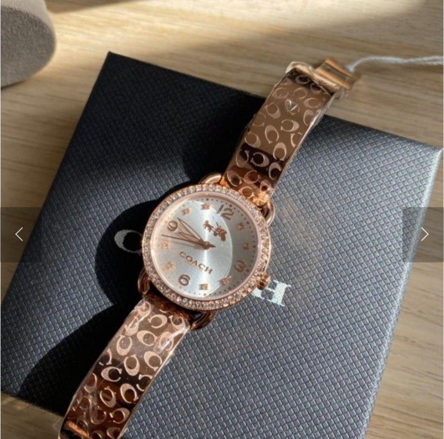 Coach Delancey Silver Dial Rose Gold Steel Strap Watch for Women - 14502355
