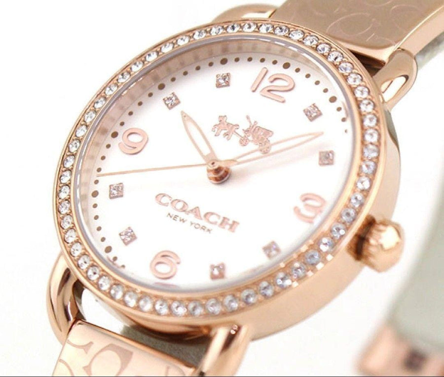 Coach Delancey Silver Dial Rose Gold Steel Strap Watch for Women - 14502355