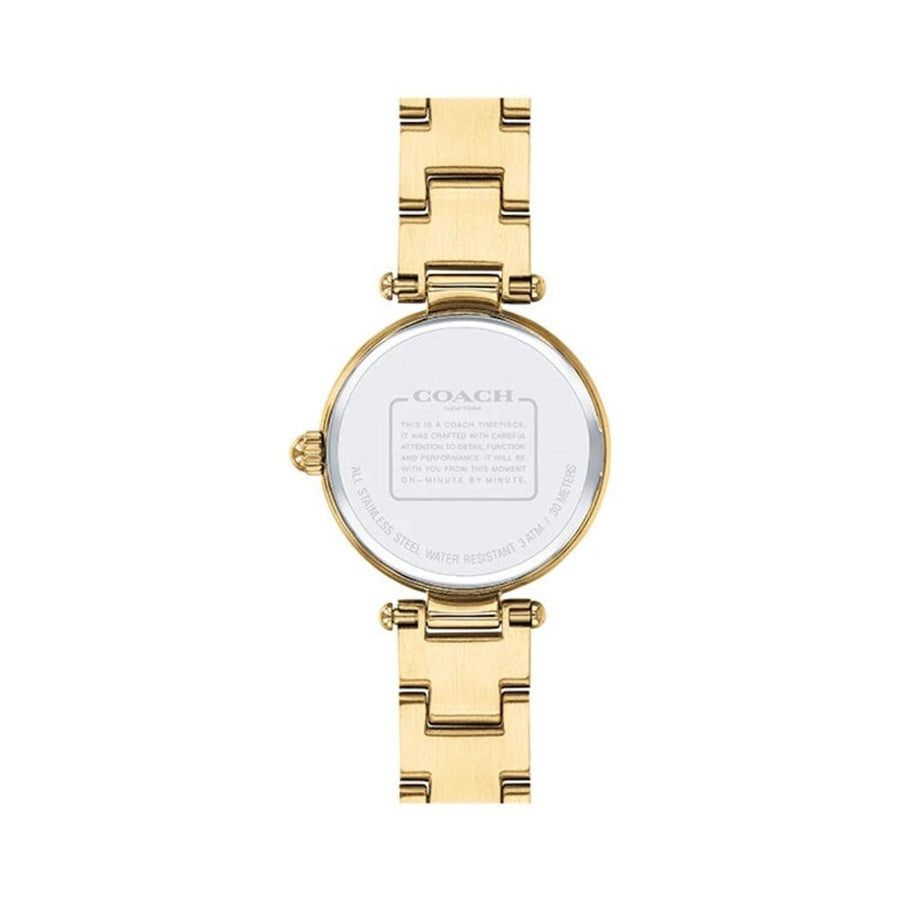 Coach Park Blue Dial Gold Steel Strap Watch for Women - 14503225