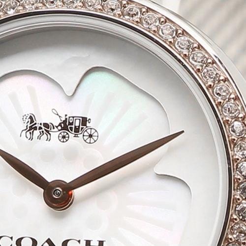 Coach Park Mother of Pearl Dial Silver Mesh Bracelet Watch for Women - 14503510