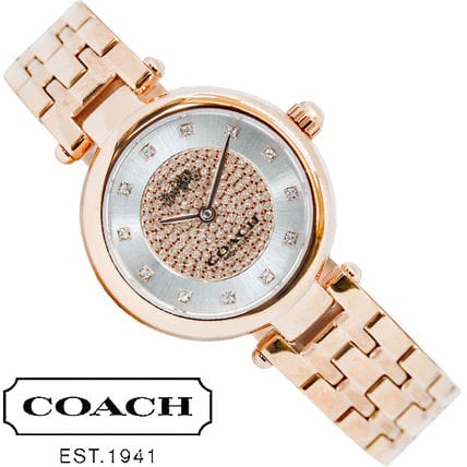 Coach Park Silver Dial Rose Gold Steel Strap Watch for Women - 14503736