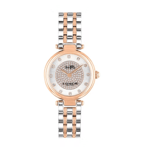 Coach Park Silver Dial Two Tone Steel Strap Watch for Women - 14503642