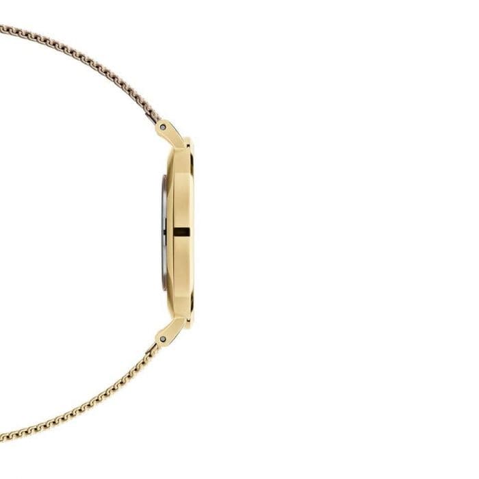 Daniel Wellington Classic Petite Evergold White Dial Gold Mesh Bracelet Watch For Women - DW00100346