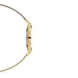 Daniel Wellington Classic Petite Evergold White Dial Gold Mesh Bracelet Watch For Women - DW00100346