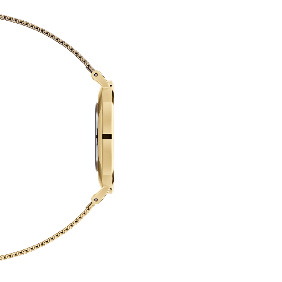 Daniel Wellington Classic Petite Evergold White Dial Gold Mesh Bracelet Watch For Women - DW00100350