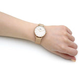Daniel Wellington Classic Petite White Dial Gold Mesh Bracelet Watch For Women - DW00100348