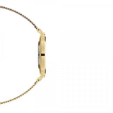Daniel Wellington Classic Petite White Dial Gold Mesh Bracelet Watch For Women - DW00100348