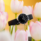 Daniel Wellington Petite Ashfield Black Dial Black Mesh Strap Watch For Women - DW00100246