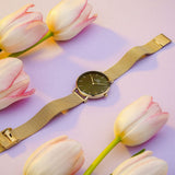 Daniel Wellington Petite Emerald Green Dial Gold Mesh Strap Watch For Women - DW00100480