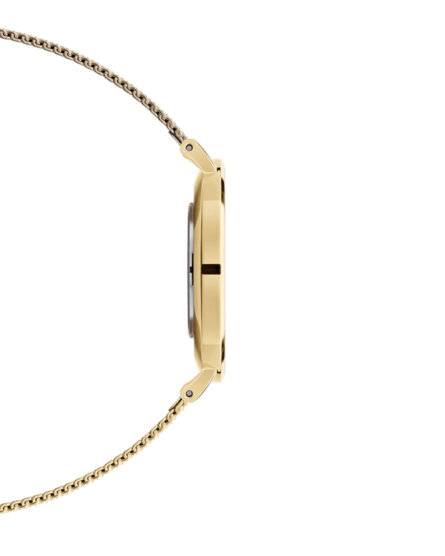 Daniel Wellington Petite Evergold Black Dial Gold Mesh Strap Watch For Women - DW00100345