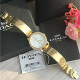 Coach Delancey Diamonds Silver Dial Gold Steel Strap Watch for Women - 14502354