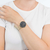Daniel Wellington Petite Ever Gold Black Dial Stainless Steel 36mm Watch For Women - DW00100345