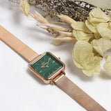 DW watch with green face and rose gold band