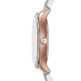 Emporio Armani Classic Silver Dial Two Tone Steel Strap Watch For Men - AR1839