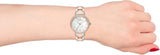 Emporio Armani Cleo Mother of Pearl Dial Two Tone Steel Strap Watch For Women - AR11499