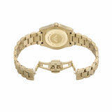 Emporio Armani Federica Brown Dial Gold Steel Strap Watch for Women - AR11700