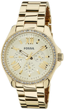 Fossil Cecile Chronograph Gold Dial Gold Steel Strap Watch for Women - AM4482