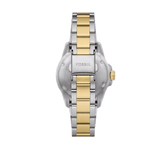 Fossil Blue Dive Three Hand Black Dial Two Tone Steel Strap Watch For Women - ES5349