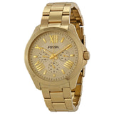 Fossil Cecile Multifunction Champagne Dial Gold Steel Strap Watch for Women - AM4510