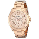 Fossil Cecile Rose Gold Dial Rose Gold Steel Strap Watch for Women - AM4511