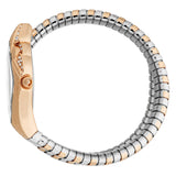 Just Cavalli Ferocious Silver Dial Two Tone Steel Strap Watch for Women - JC1L306M0075