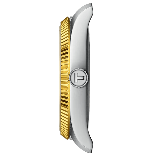 Tissot Ballade Quartz Silver Dial Two Tone Steel Strap Watch for Women - T156.210.22.031.00
