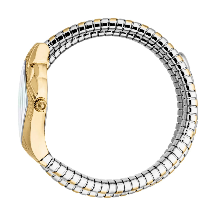 Just Cavalli Aurela Silver Dial Two Tone Steel Strap Watch for Women - JC1L374M0055