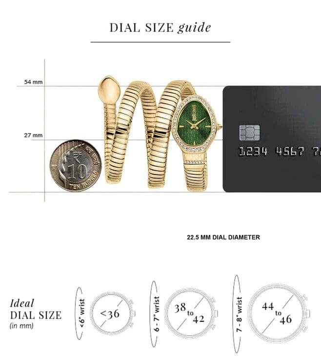 Just Cavalli Carezza Green Dial Gold Steel Strap Watch for Women - JC1L372M0035
