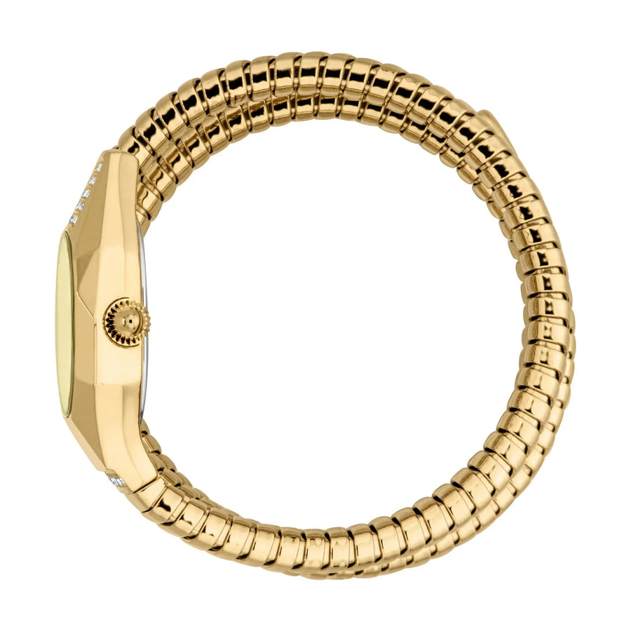 Just Cavalli Lunara Silver Dial Two Tone Steel Strap Watch for Women - JC1L397M0065