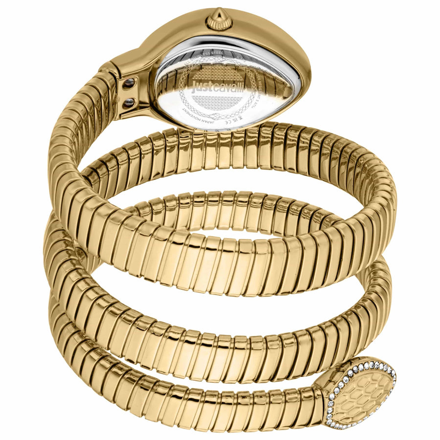 Just Cavalli Carezza Silver Dial Gold Steel Strap Watch for Women - JC1L372M0025