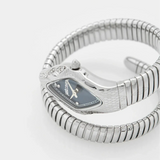 Just Cavalli Ferocious Blue Dial Silver Steel Strap Watch for Women - JC1L306M0015